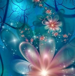 Meet your Posher, Nora